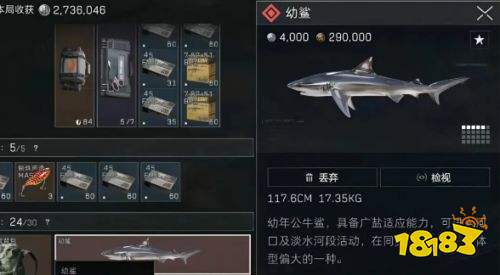 三角洲行动S11栖野币怎么获得 三角洲行动S11栖野币获取方法详解