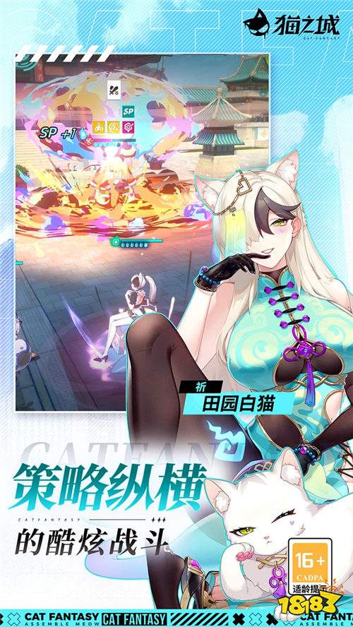 猫之城福利版