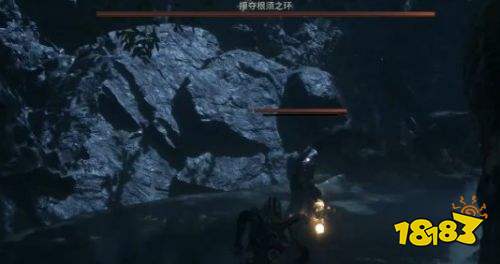 致命躯壳2攥夺根须之环打法详解 致命躯壳2攥夺根须之环打法攻略