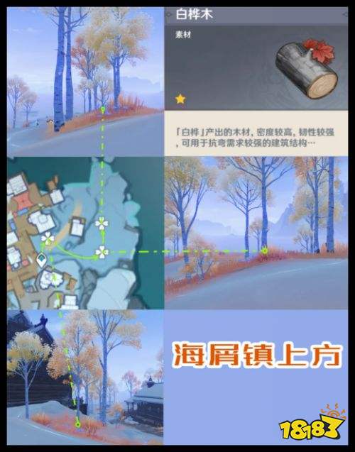 原神白桦木在哪里刷 至冬版本木材速刷获取攻略