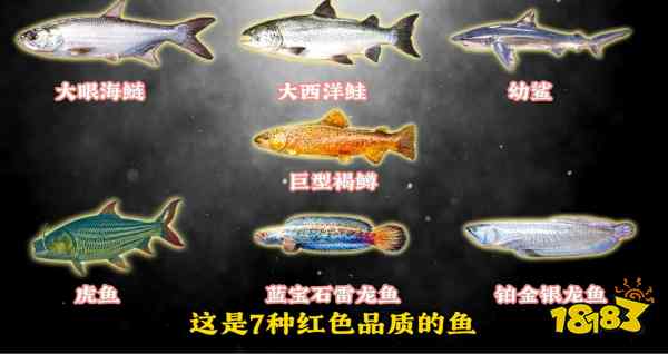 三角洲行动红鱼鱼种全图鉴 三角洲行动红鱼图鉴收集攻略