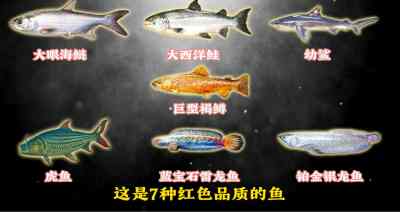 三角洲行动红鱼鱼种全图鉴 三角洲行动红鱼图鉴收集攻略