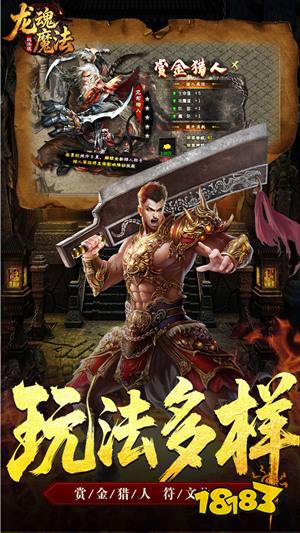 龙魂魔法战法道狂暴十五技正版