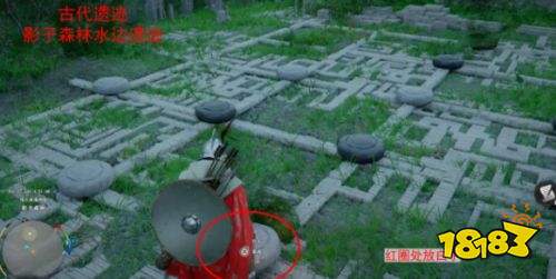 红色沙漠全遗迹全迷宫解密攻略 红色沙漠全遗迹全迷宫解密流程一览