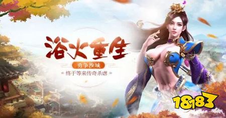 传奇单职业版本手游下载