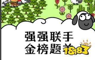 羊了个羊星球最新兑换码汇总 羊了个羊星球万能消除道具轻松领