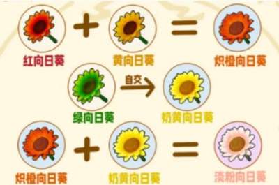星布谷地花卉杂交培育配方大全 星布谷地花卉杂交培育配方合集