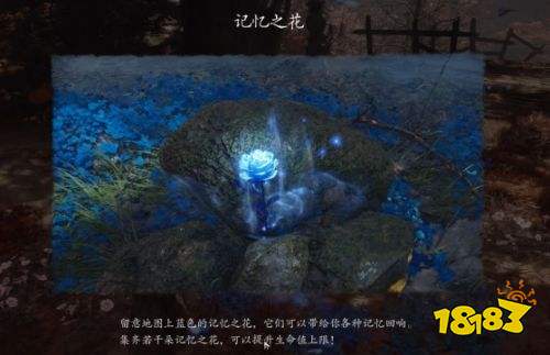 影之刃零记忆之花全收集攻略 影之刃零记忆之花全收集流程详解